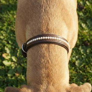 ปลอกคอสุนัขหนังสีน้ำตาลเข้มสุดหรู กันน้ำ สวมใส่สบาย ประดับมุกสีขาว ขนาดสั่งทำได้ ใช้ได้ทุกฤดู ได้รับการรับรอง A+ - Product Image 2