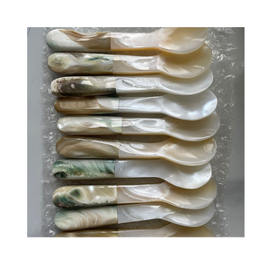 Cuillère en nacre du Vietnam, coquille naturelle, finition artisanale, parfaite pour les ensembles de caviar, prix de gros, export, prix compétitif, approvisionnement - Product Image 1