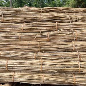 เฟอร์นิเจอร์หวายทรายสีธรรมชาติแบบยังไม่ผ่านกระบวนการงานหัตถกรรมขนาด10 24มม. อายุการเก็บรักษา15 20ปีวัสดุทอ - Product Image 3