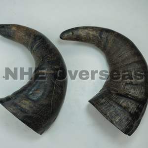 Chien en corne de buffle naturel de qualité supérieure mâche des friandises saines durables et durables pour les animaux actifs par NHE Overseas - Product Image 2