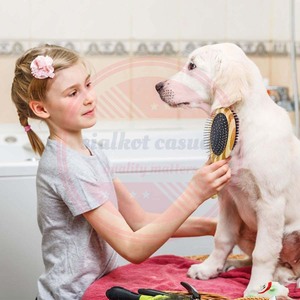 Peines y cepillos de aseo de doble cara con logotipo personalizado | Peines de aseo para mascotas usados diariamente al por mayor con mango de madera - Product Image 6