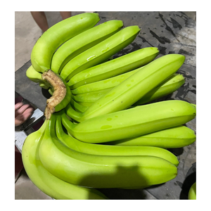 Offre Spéciale banane fraîche Cavendish-banane verte fraîche-fruits et légumes frais du Vietnam - Product Image 5