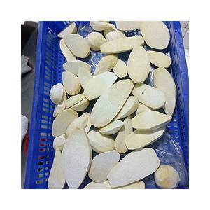 Taro surgelé-Taro Légumes frais du Vietnam-Produits de taro surgelés de qualité 99 Gold Data Elysia - Product Image 2