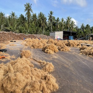 Pacas de fibra de coco comprimidas excelentes para la fabricación de cuerdas, producción de cepillos, esteras de fibra de coco e industrias de productos ecológicos. - Product Image 2