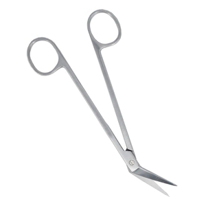 Ciseaux dentaires professionnels de gomme de Locklin ciseaux de chirurgie médicale d'acier inoxydable - Product Image 3