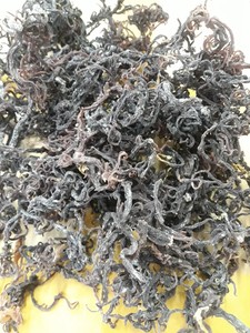 MUSGO DE MAR/MUSGO IRLANDÉS NATURAL SALVAJE SECO SABORIZADO PICADO SABORIZADO 25kg Bolsa PERFECTO COMIDA VERDE ELECCIÓN MARCA VIET DELTA - Product Image 3