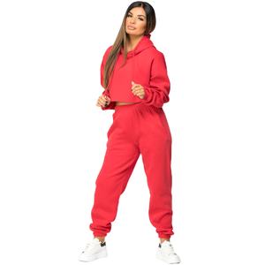 OEM Top court personnalisé pour femmes, sweat à capuche et pantalon de jogging, ensemble sweat à capuche court sexy, jogging, survêtement surdimensionné pour femmes - Product Image 6