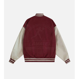 Custom Varsity Winter <b>Jacket</b> with Leather Sleeves Stand Collar Hooded Design Embroidery Option Front Logo High Quality - Product Image 2