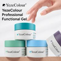 Gel UV LED Yeze Couleurs Longue Durée Écologique 18 Types Top Coat Extension Constructeur Non Toxique Nail Art Marque Privée OEM