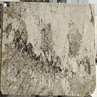Grande dalle de granit naturel poli Dolce Vita au design moderne pour hôtels, restaurants et villas