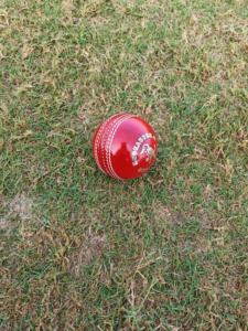 Kookaburra ลูกบอลคริกเก็ตสำหรับผู้ชายผู้หญิงเยาวชนผู้หญิงการฝึกแบบมืออาชีพ & น้ำหนักใช้งานกลางแจ้ง156gm/ 142gm/135gm - Product Image 3