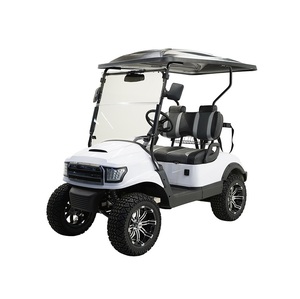 Carrito de golf eléctrico de aluminio de 2 plazas con batería y controlador - Product Image 1
