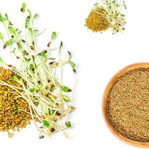 Alfalfa | Opción de alimentación eficiente para mejorar la salud animal - Product Image 3