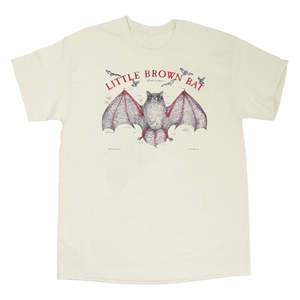 Camiseta gráfica personalizada de secado rápido de 100% algodón para hombre y mujer, marca de gran tamaño, diseño personalizado e impresión de tamaño - Product Image 5