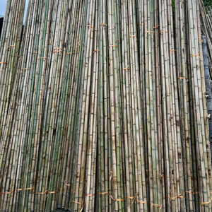 Clôture extérieure et ombre de ferme Matières premières en bambou Poteaux en bambou traités à la vapeur - Product Image 1