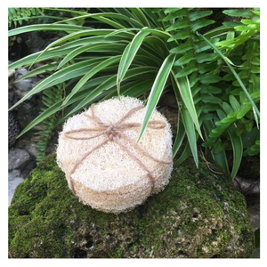 Loofah de fibra natural y Luffa Hecho a mano en Vietnam Loofah premium y Luffa para el cuidado de la piel Terapia de spa y productos de bienestar - Product Image 2