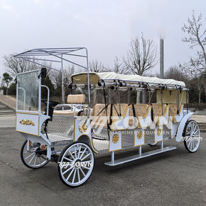 Electric Classic Sightseeing 4-Row 4-Wheel Wedding Royal Horse Carriage para 4-6 personas Nuevo - Product Image 6
