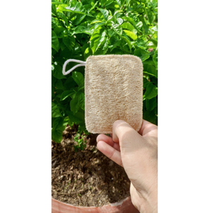 Esponja Luffa de lufa con sensación cómoda para lavar platos, rutinas de cuidado de la piel y limpieza diaria, fibra duradera - Product Image 4