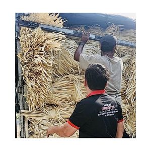 Porte-gobelet à emporter en bambou jetable Transporteur-Offre Spéciale Vietnam Chaîne de transport de gobelets en bambou écologique Prix de gros - Product Image 6