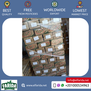 La mejor venta de calidad superior a granel suministro de vegetales nutritivos y deliciosos congelados Molokhia de Egipto a un precio confiable - Product Image 5