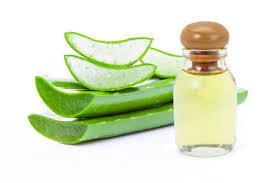 Aceite de fragancia de Aloe Vera certificado Natural puro 100% para aromaterapia con precio bajo y exportador a granel de alta calidad de la India - Product Image 6
