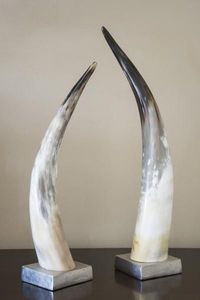 Cuerno de búfalo pulido de la mejor calidad con estilo animal tallado, artesanías naturales para bodas, fiestas, vino y agua - Product Image 2