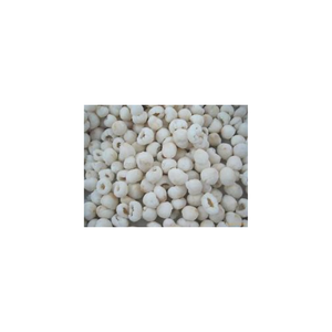 ลิ้นจี่แช่แข็งเกรดพรีเมียม | ส่วนผสมผลไม้ธรรมชาติสำหรับการส่งออก - Product Image 6