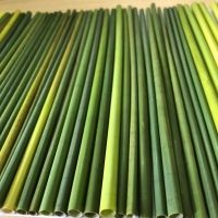 Pajitas biodegradables de hierba Natural para beber, fabricante vietnamita de Eco2go, gran oferta - Product Image 6