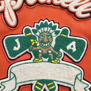 Chaqueta Varsity de Alta Calidad al por Mayor, Chaqueta Acolchada con Bordado y Logotipo Personalizados para Hombre, con Cierre de Cremallera - Product Image 5