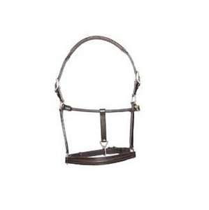 Halter en cuir anglais léger avec raccord de quincaillerie en laiton rembourré en cuir souple de couleur marron - Product Image 3