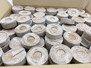 ก้อนมะพร้าวอัดเม็ดขนาด36มม. สำหรับปลูกต้นมะพร้าวแบบยาว - Product Image 3