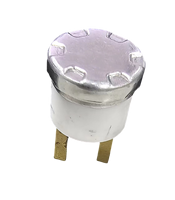 Termostato de Alta Temperatura Serie T24 Honest-Well T02A221CCR1-35, Sensor de Temperatura de Montaje en Inserto 2219