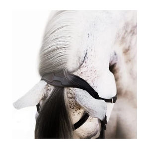 Ainsley-brida de cuero para caballo, calidad estándar - Product Image 2