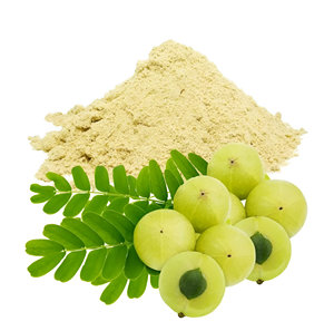 Polvo de grado alimenticio de extracto de Amla orgánico certificado Embalaje de bolsa de ingrediente activo solvente de hesperidina de cítricos a base de hierbas de alta calidad - Product Image 4