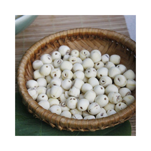 Nouvelle récolte de graines de lotus blanc séchées de haute qualité sans cœur en provenance du Vietnam à prix compétitif - Product Image 5