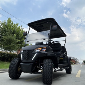 Carrito de golf de venta rápida con motor eléctrico silencioso y apariencia elegante - Product Image 1