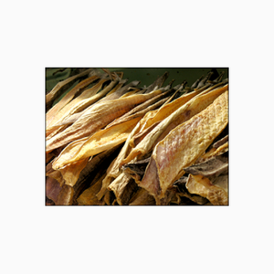 Norway ผลิตภัณฑ์ปลาแบบพรีเมี่ยมหลากหลายขนาด - Product Image 1