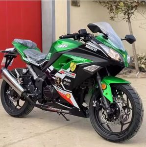 Motocicleta de Gasolina Kawasaki Ninja 250cc Original, Nueva de Marca, ENVÍO RÁPIDO. - Product Image 2