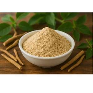 Extracto de Ashwagandha en Polvo Natural Puro al 99% de Alta Calidad, Botánico Herbal de Primera Calidad, Ingrediente Alimentario Industrial en Botella - Product Image 6