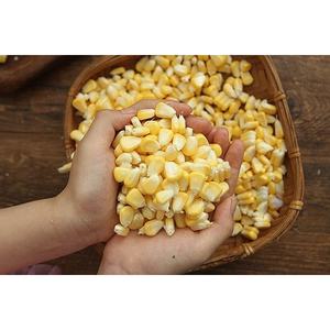 Grains de maïs gluant congelés de haute qualité avec texture caoutchouteuse et goût riche pour l'exportation - Product Image 2