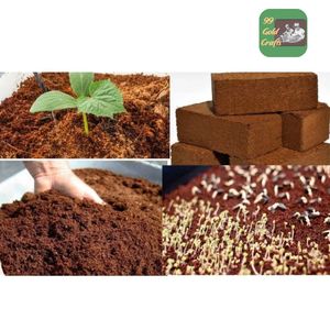 Bloc de tourbe de coco naturel de qualité supérieure, brique de fibre de coco pour le démarrage des graines, l'hydroponie et l'utilisation en jardinage commercial - Product Image 2