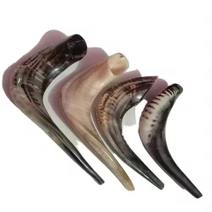 Cuerno de carnero natural de primera calidad Shofar Kosher y pulido Hecho EN LA India para fines religiosos y de soplado - Product Image 2