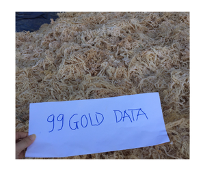 Superfood Grade Dry Sea Moss Cottonii Pure Natural Non GMO Gluten Free Vegan Bulk Wholesale Wildcrafted Export Ready Vietnam - Product Image 4