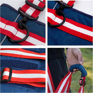 2024 Custom Designers Pet Dog Harness Laisse et collier Set harnais de câblage complet harnais complet - Product Image 5