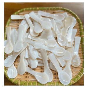 ช้อนหอยเป๋าฮื้อหอยมุกทำขึ้นอย่างประณีตสำหรับคาเวียร์หรูหราเสิร์ฟเครื่องจักสานงานฝีมือ - Product Image 4