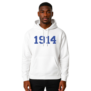 Sudadera con Capucha Extra Grande, Bordado Personalizado, Estilo Urbano, Gruesa, con Capucha, Tallas Grandes para Hombre - Product Image 5