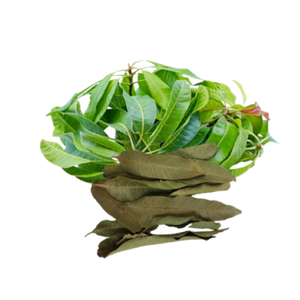 ใบมะม่วงอบแห้งรสเลิศ: ความสุขในการทำอาหาร - Product Image 4