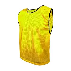 Quick Dry Polyester Sports <b>Bibs</b> Football <b>Training</b> Custom Team Soccer Pinnies Youth Adult Mesh <b>Bibs</b> - Product Image 5