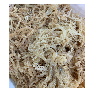 Blanco seco, musgo de mar púrpura, ventas calientes musgo de mar dorado seco/musgo irlandés seco, algas secas Eucheuma Cottonii - Product Image 1