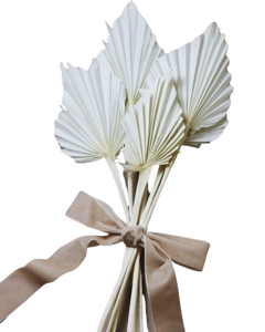 Hojas de Palma Lanza Hojas de Palma naturales Palma Lanza Día DE LA MADRE Día de San Valentín Navidad Gracias Regalos por cada vez - Product Image 4